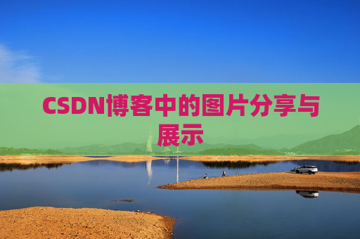 CSDN博客中的图片分享与展示